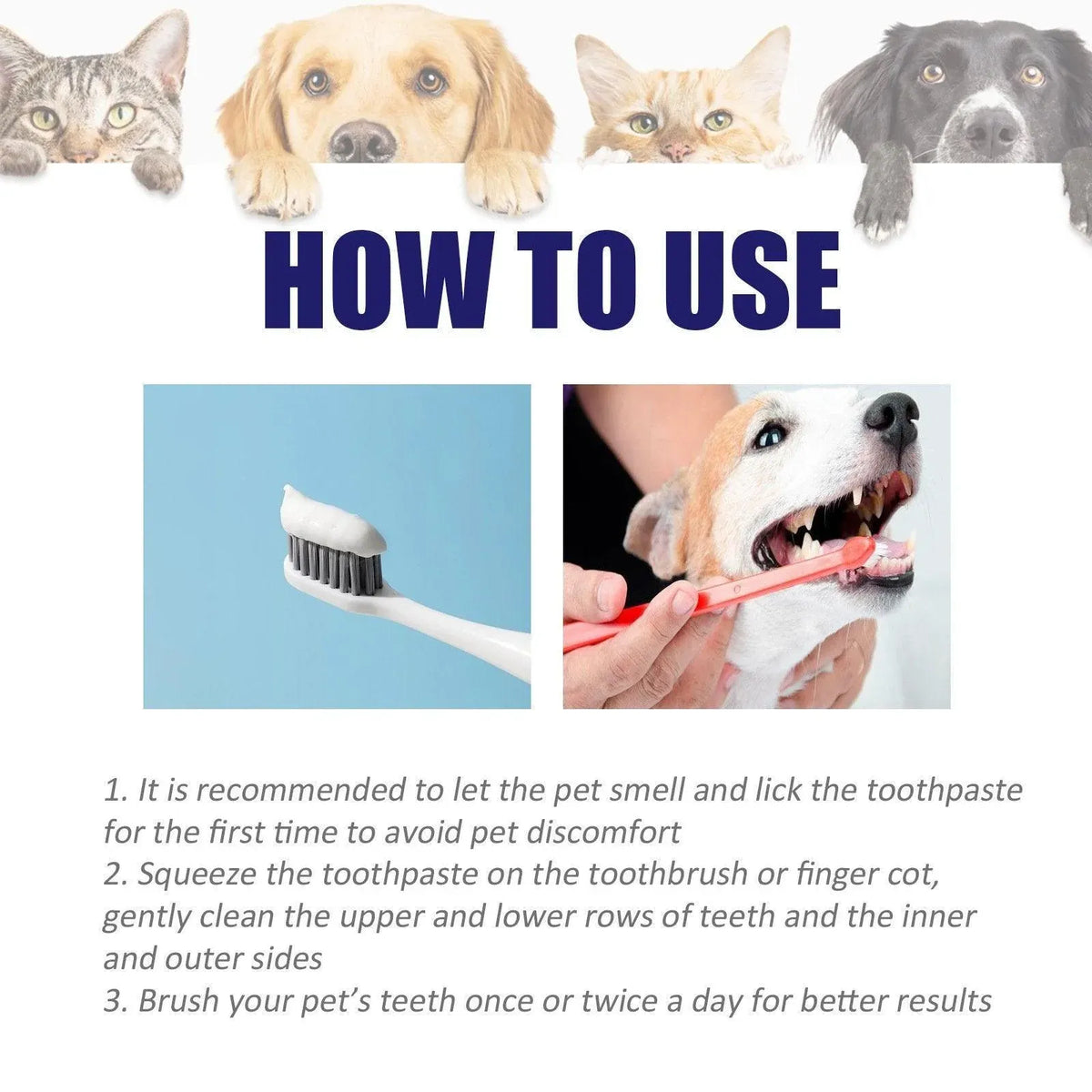 Pet Enzyme Toothpaste for Dogs & Cats - Peppermint, 50 g
