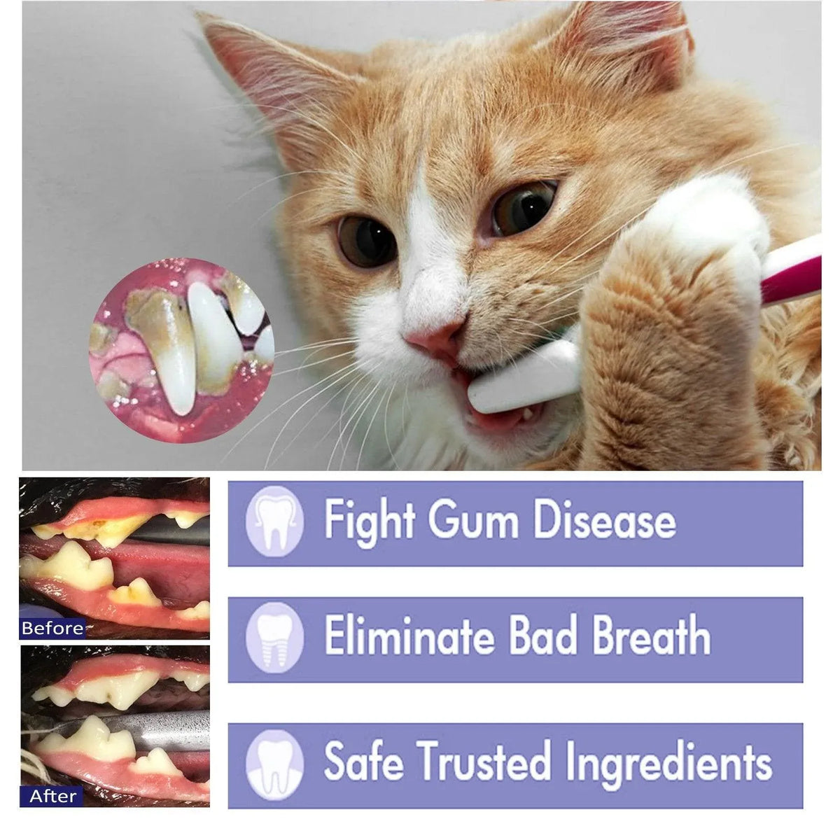 Pet Enzyme Toothpaste for Dogs & Cats - Peppermint, 50 g