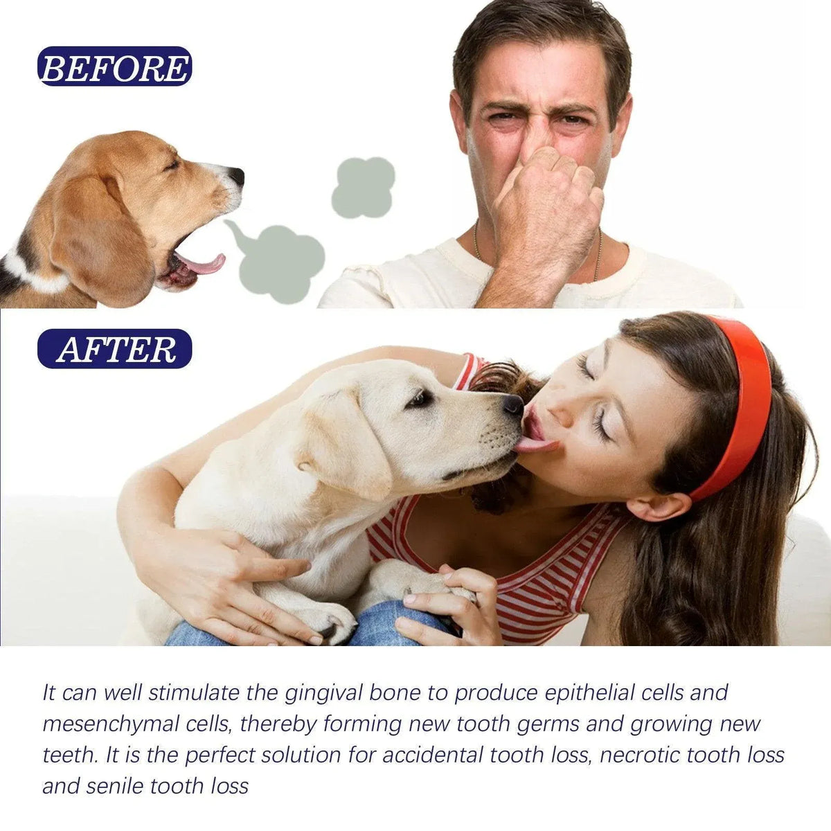 Pet Enzyme Toothpaste for Dogs & Cats - Peppermint, 50 g