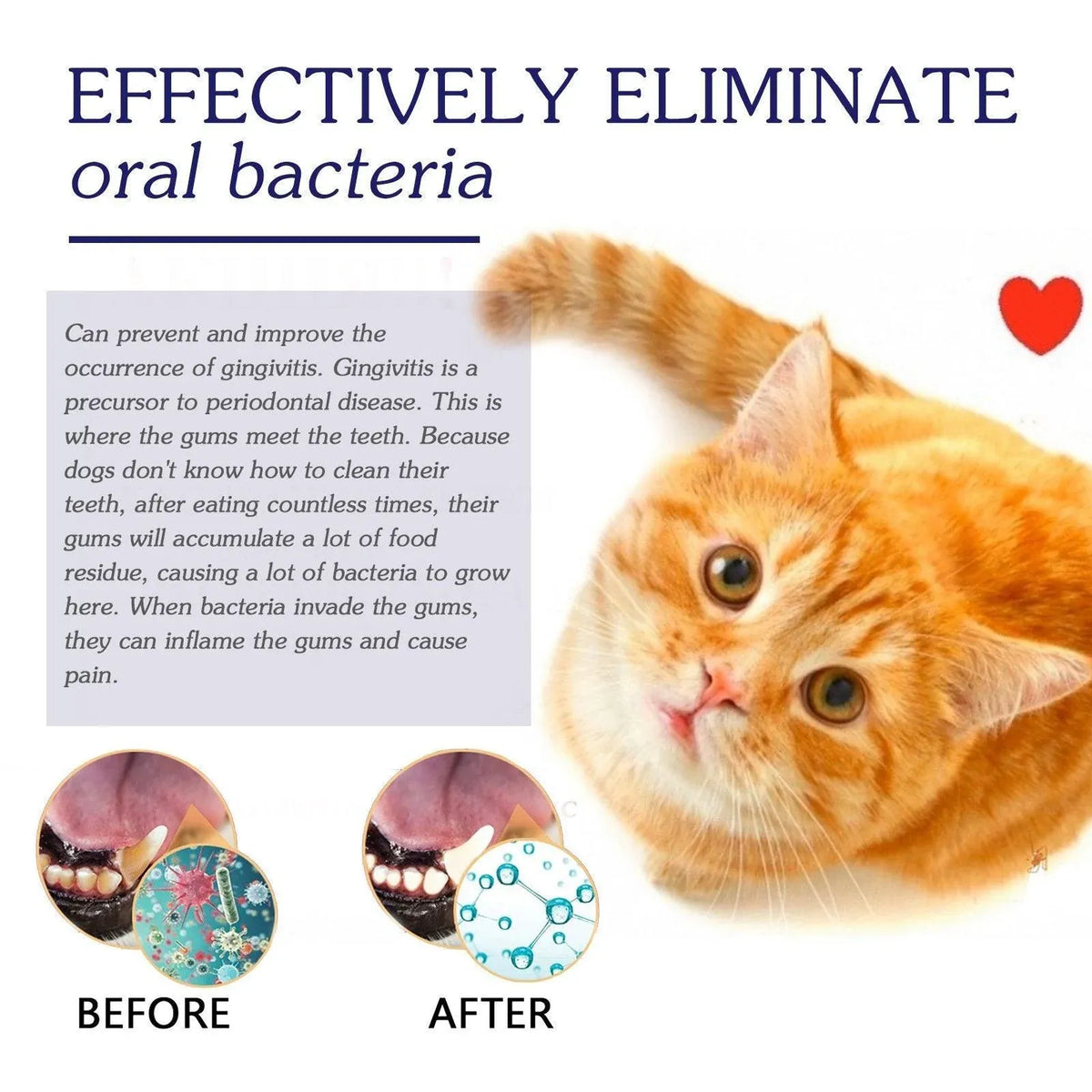 Pet Enzyme Toothpaste for Dogs & Cats - Peppermint, 50 g