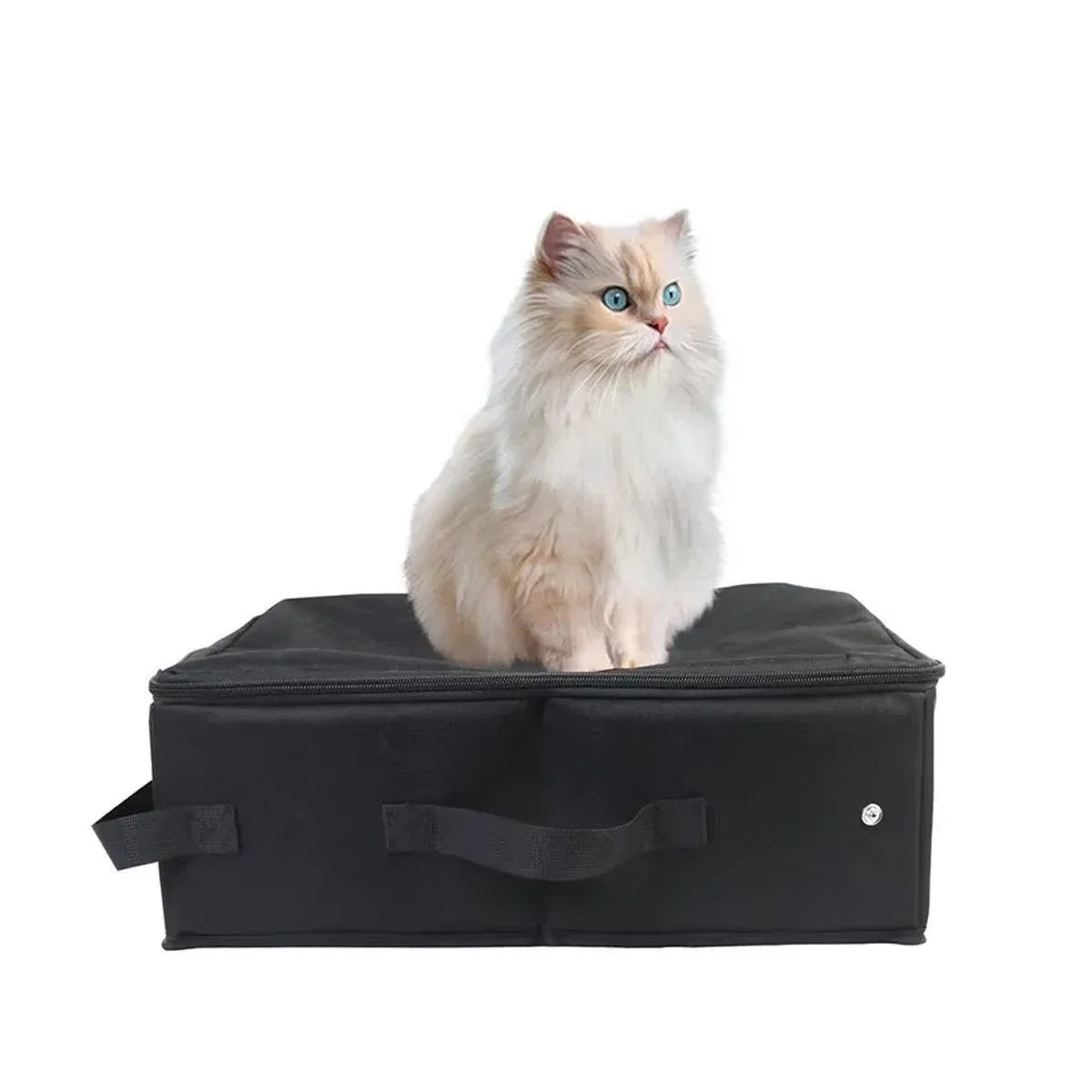 Foldable Black Travel Cat Litter Tray with Lid - 40 × 30 × 15 cm