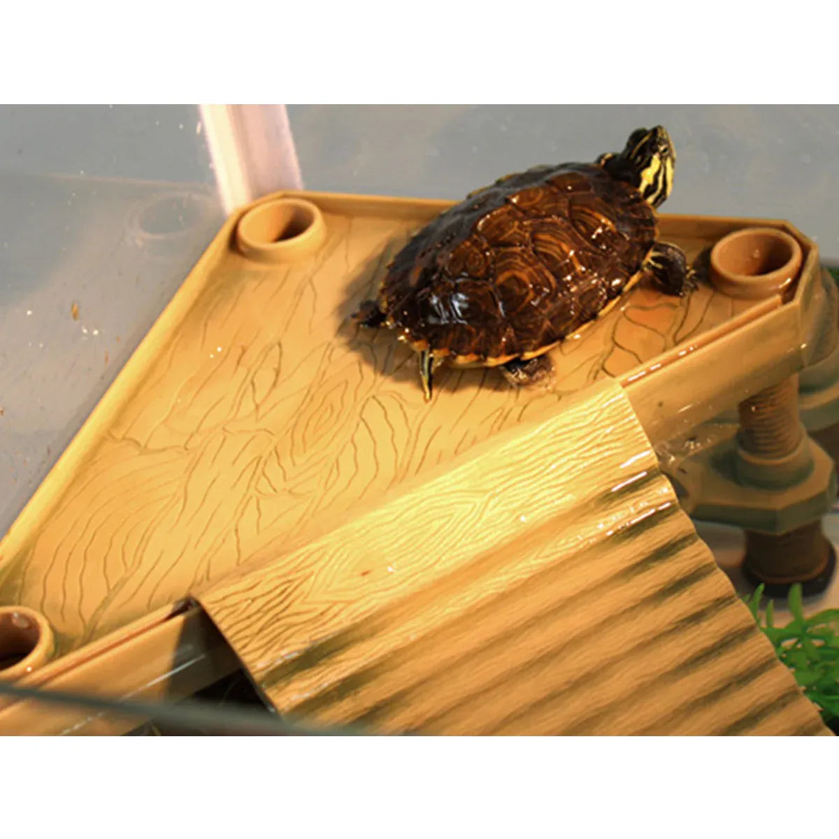 Floating Turtle Basking Platform with Climbing Ramp - Green