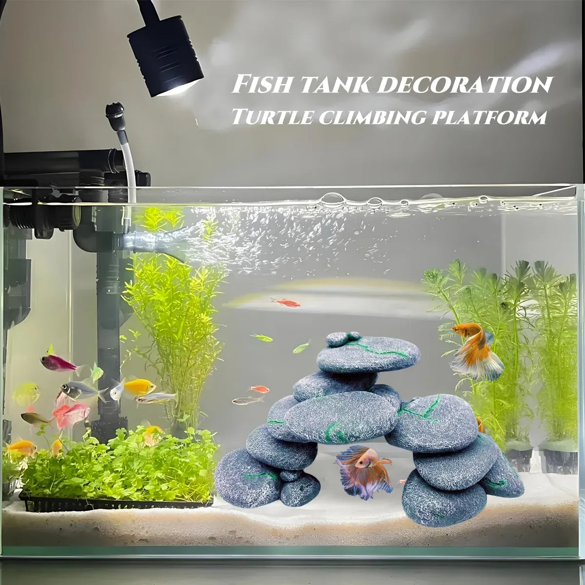 Turtle Basking & Climbing Platform with Ramp - Style A