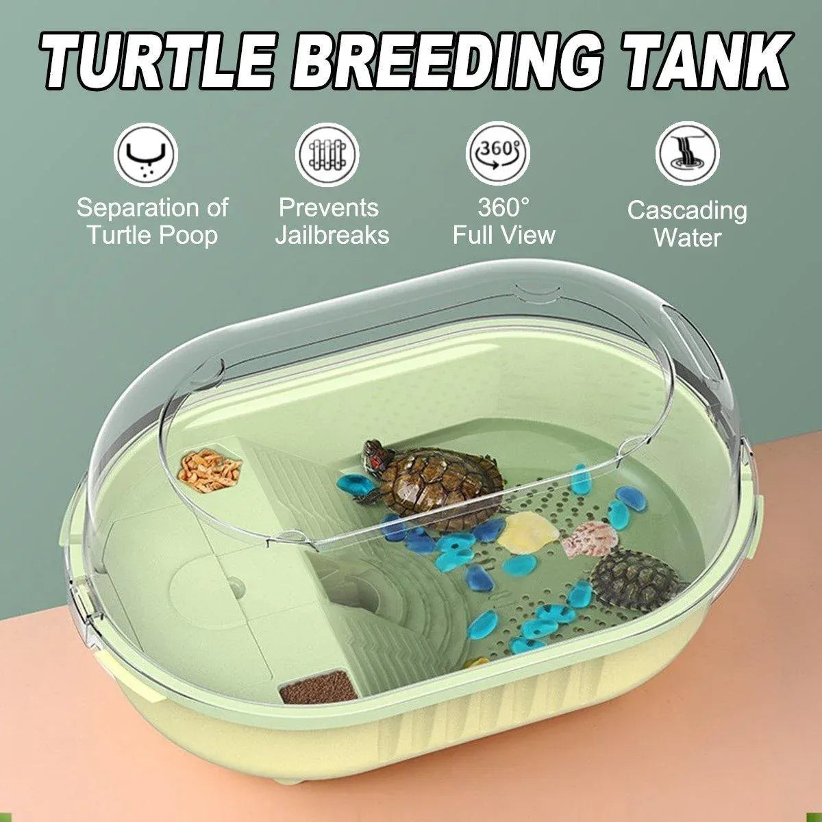 Plastic Turtle Viewing & Feeding Tank - Green, 50.2 × 33 × 23.6 cm