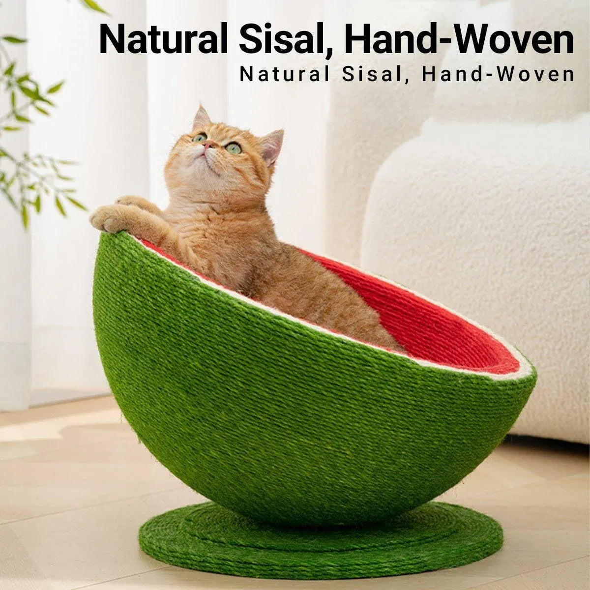Watermelon-Style Cat Scratching Board & Bed - product photo 5 of 13