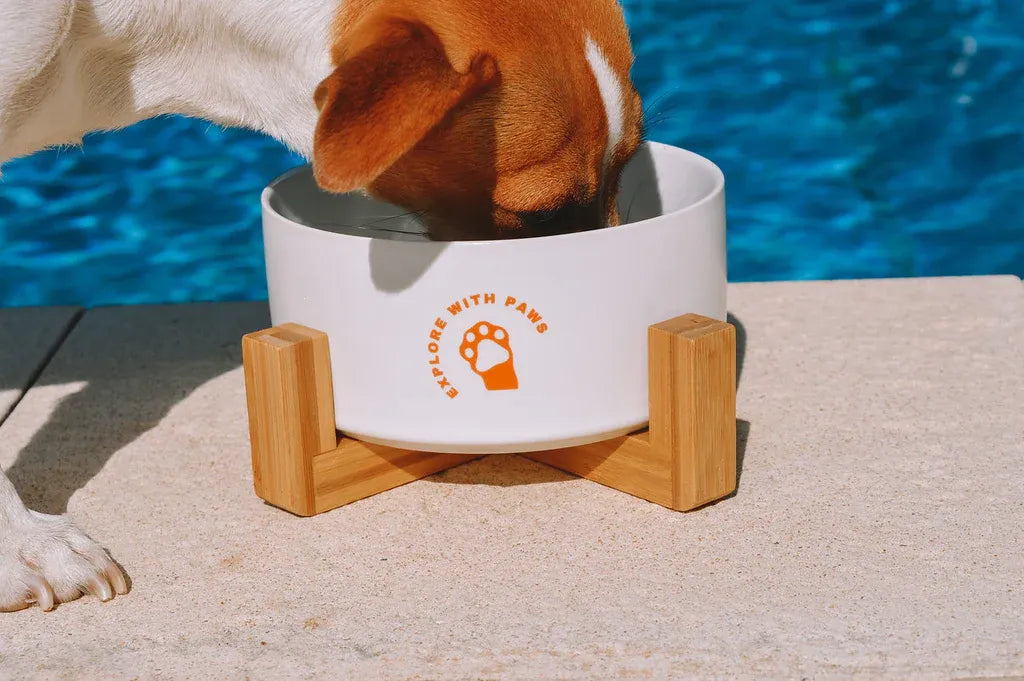 Explore with Paws Ceramic Pet Food & Water Bowl with Wooden Stand - White, 850 mL