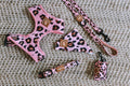 Explore with Paws Pink Leopard Dog Accessory Bundle – Large