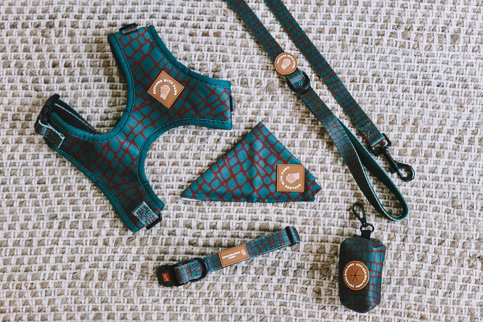 Explore with Paws Croc Skin Dog Accessory Bundle – Medium