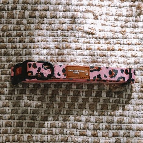 Explore with Paws Pink Leopard Padded Dog Collar - Large, 41–66 cm