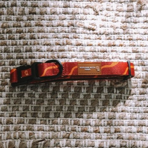 Explore with Paws Tiger Stripes Padded Dog Collar - Large, 41–66 cm