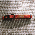 Explore with Paws Tiger Stripes Padded Dog Collar - Medium, 33–51 cm