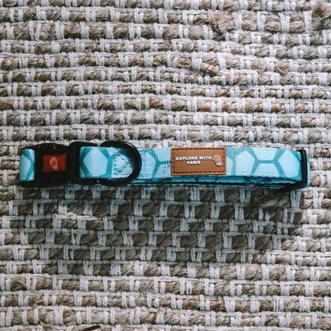 Explore with Paws Turtle Shell Padded Dog Collar - Small, 28–43 cm