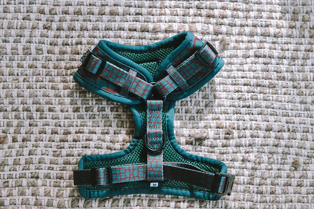 Explore with Paws Croc Skin Neoprene Dog Harness - Large