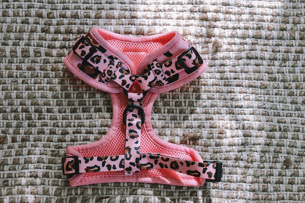 Explore with Paws Pink Leopard Neoprene Dog Harness - Small