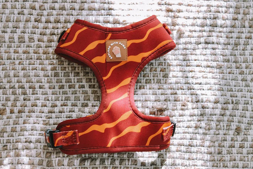 Explore with Paws Tiger Stripes Neoprene Dog Harness - Medium