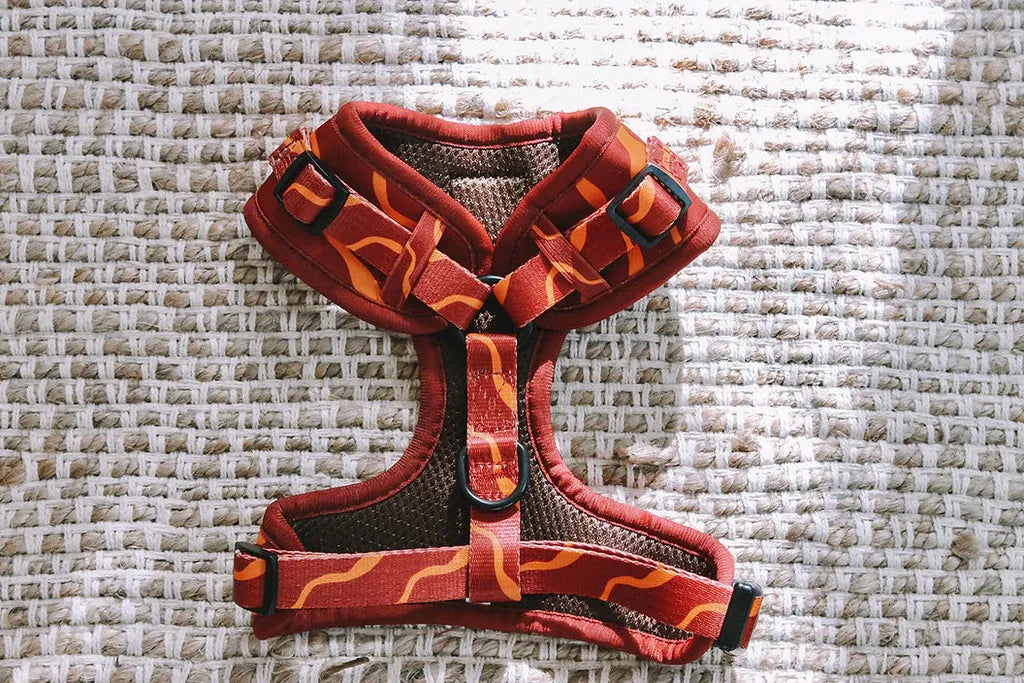 Explore with Paws Tiger Stripes Neoprene Dog Harness - Medium