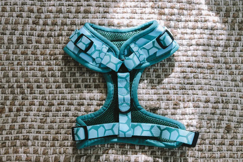 Explore with Paws Turtle Shell Neoprene Dog Harness - Large