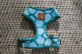 Explore with Paws Turtle Shell Neoprene Dog Harness - Small