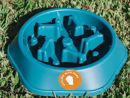 Explore with Paws Slow-Feeding Pet Bowl – Steel Blue