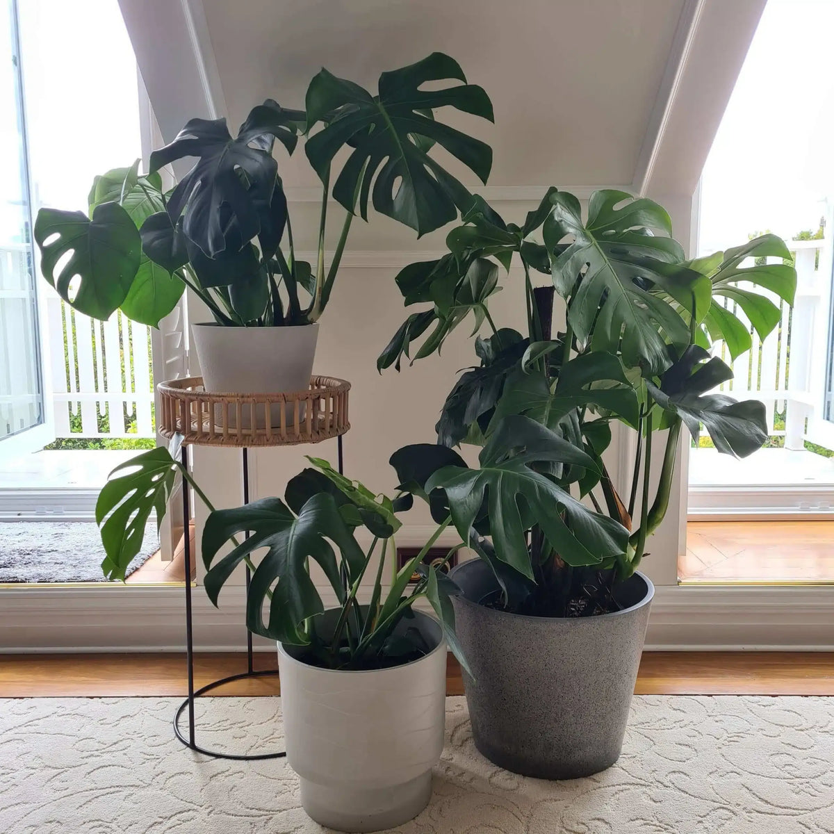 Imitation Stone Grey Pot 40cm — product image 4