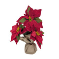 Xmas Poinsettia In Hessian Pot 32cm