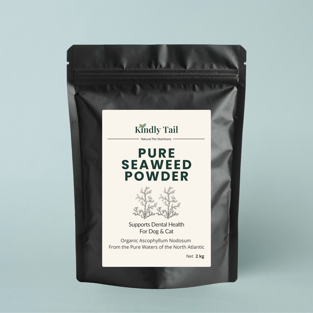 Pure Seaweed Organic Dental Health Care for Dog and Cat