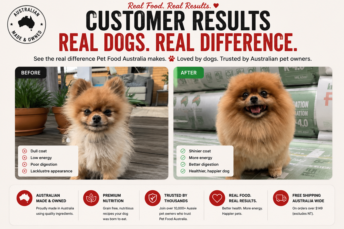 Turkey Dog Food Collective