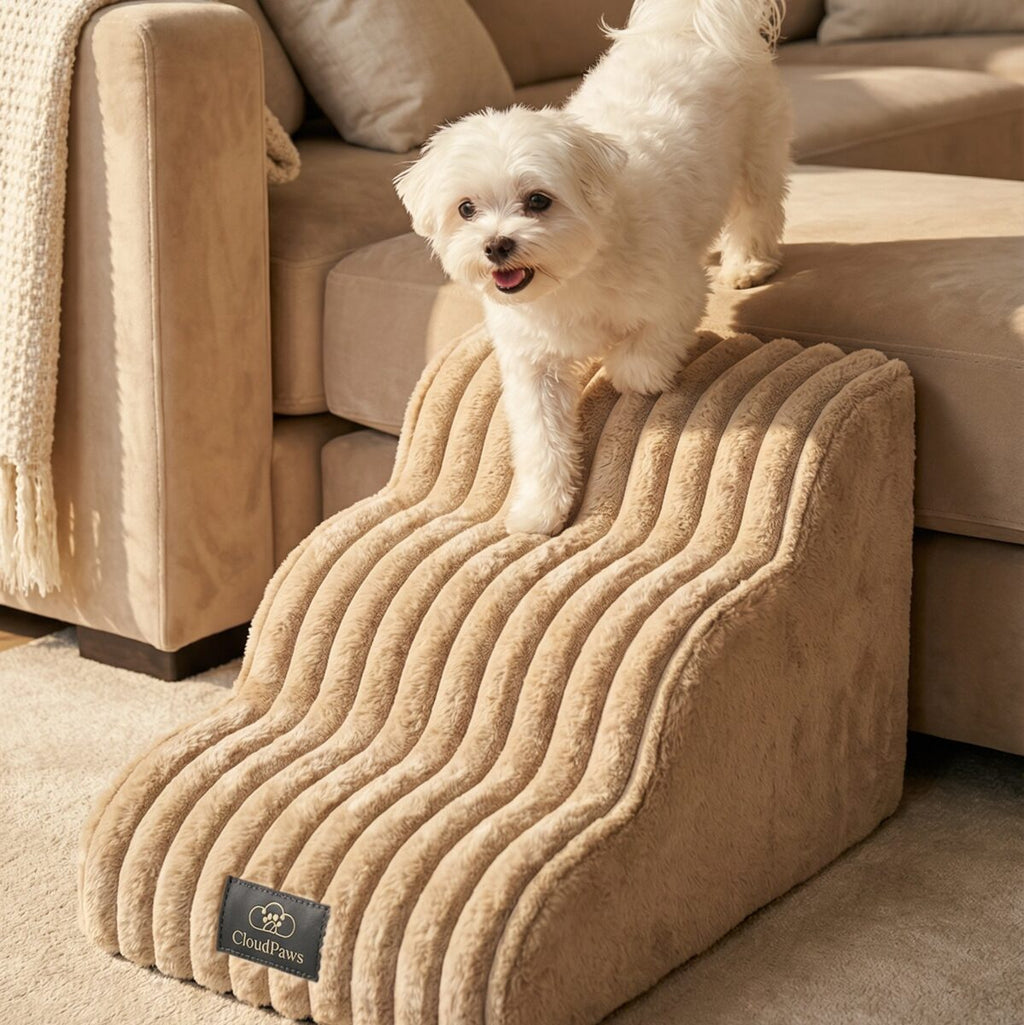 Injury Prevention Comfort Stairs by CloudPaws