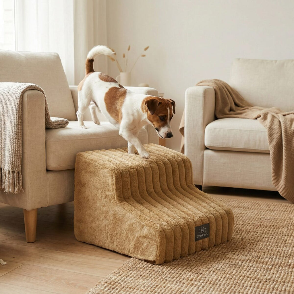 Injury Prevention Comfort Stairs by CloudPaws
