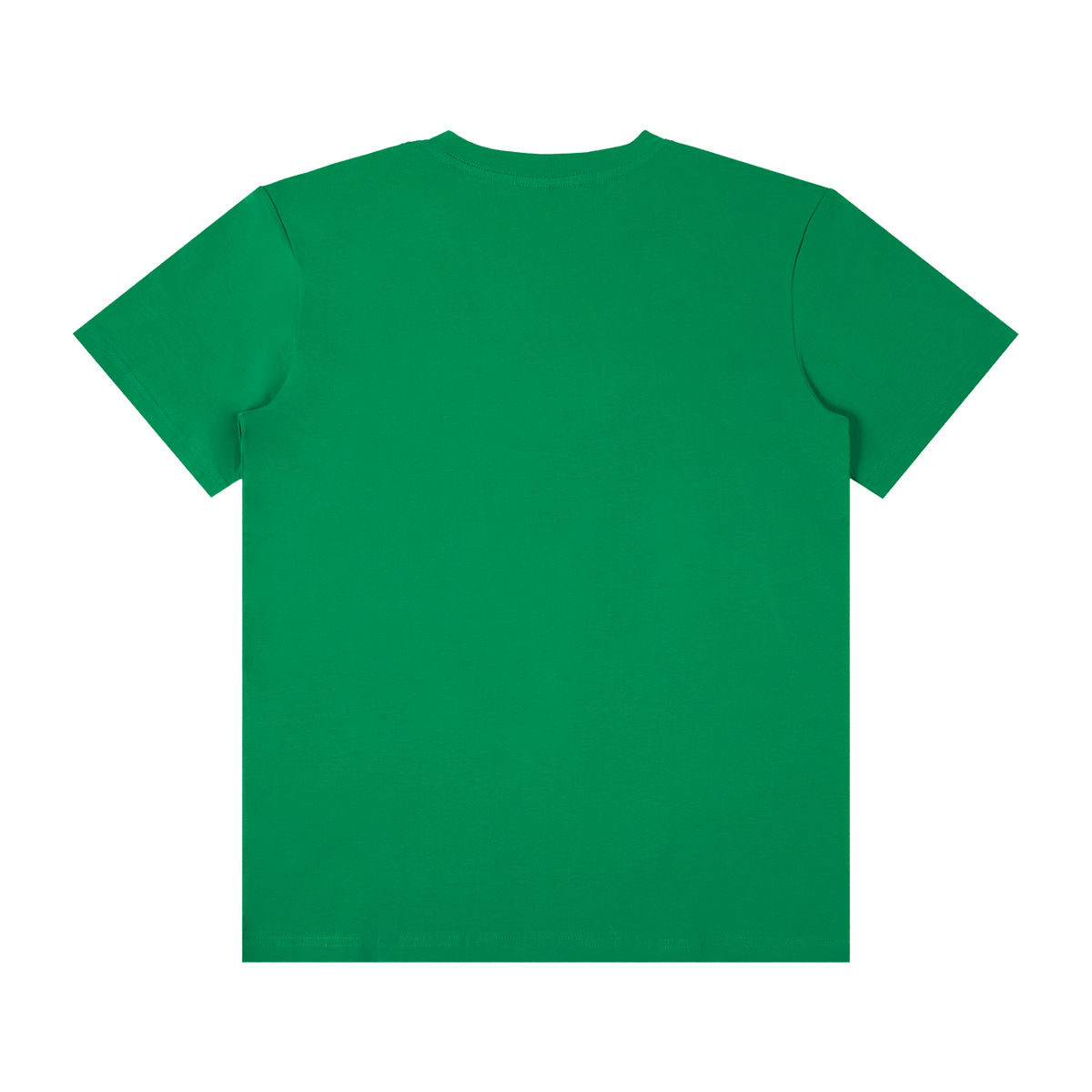 Man Flu Survivor Unisex Graphic T-Shirt – Fern Green alternate view