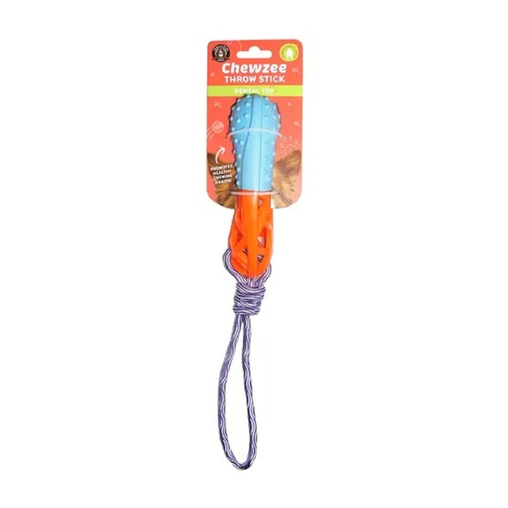 Aqua and purple floating squeaky throw stick dog toy