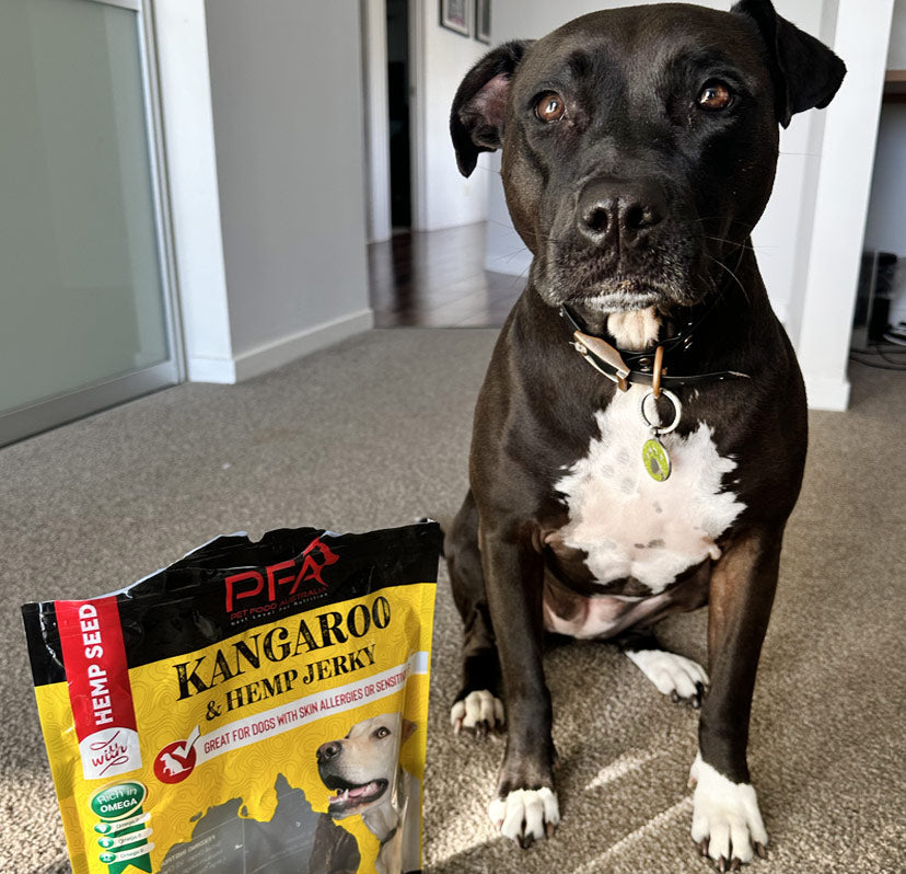 Kangaroo Jerky Treats 500g
