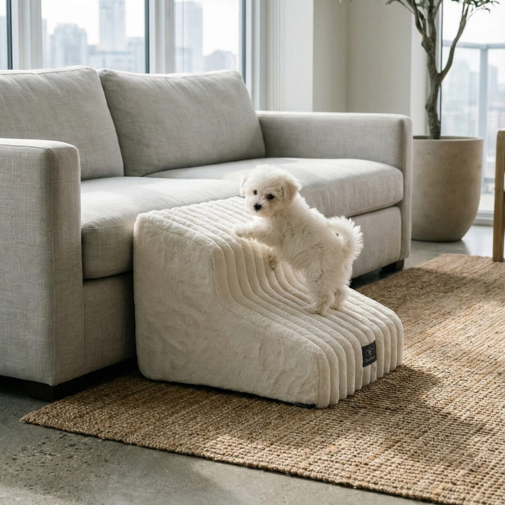 Injury Prevention Comfort Stairs by CloudPaws