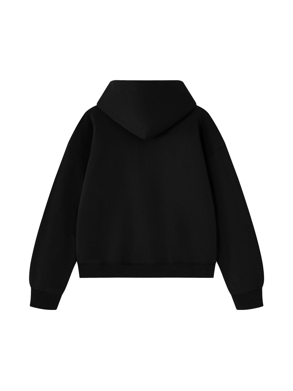 Unisex Heavyweight Full Zip Boxy Hoodie - Black back