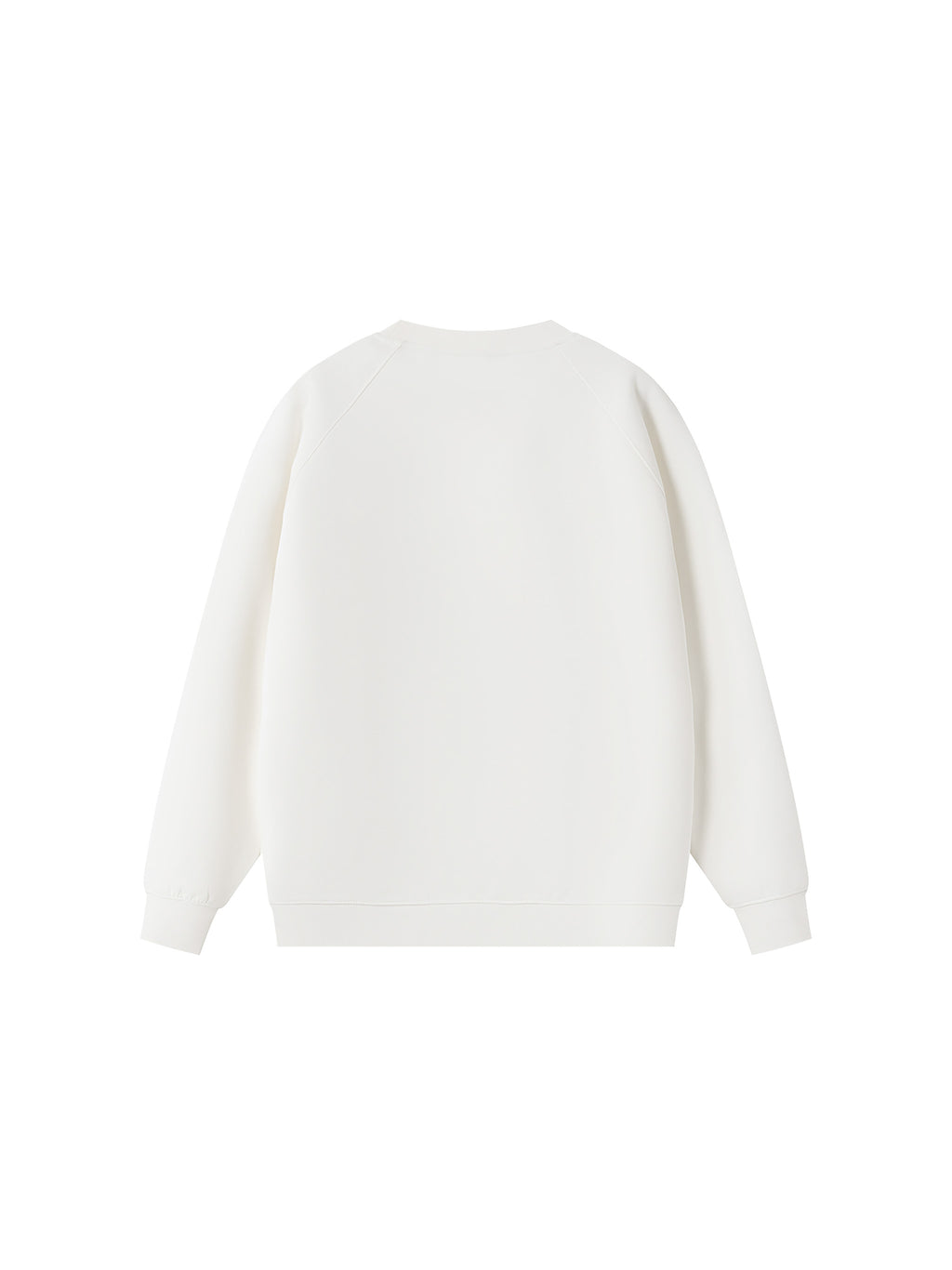 Unisex Regular Fit Crewneck Sweatshirt