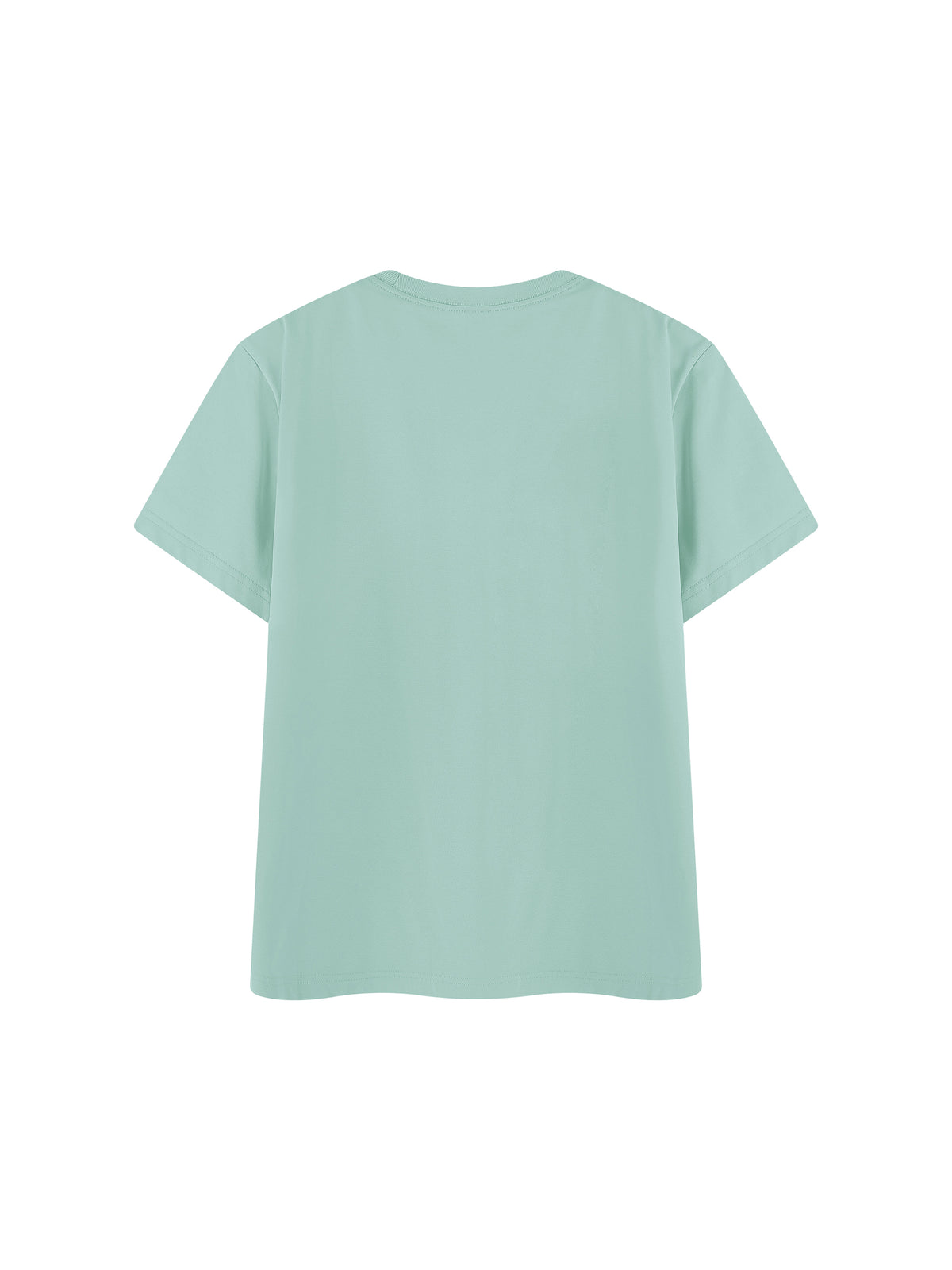 Off Script Regular Fit Crewneck T-Shirt - Mint Green back view